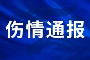 大坂直美vs穆霍娃直播地址_比赛预测_录像回放