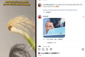 蜘蛛直播官网发布页_JRS极速信号_中文解说原声