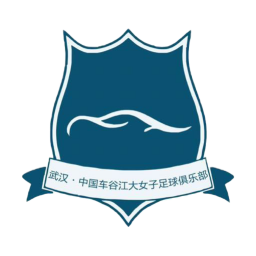 武汉车谷江大女足队徽